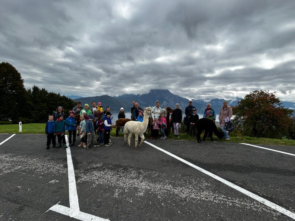 001ff90f-cf2f-4a80-9849-df5ed02c038e_11zon