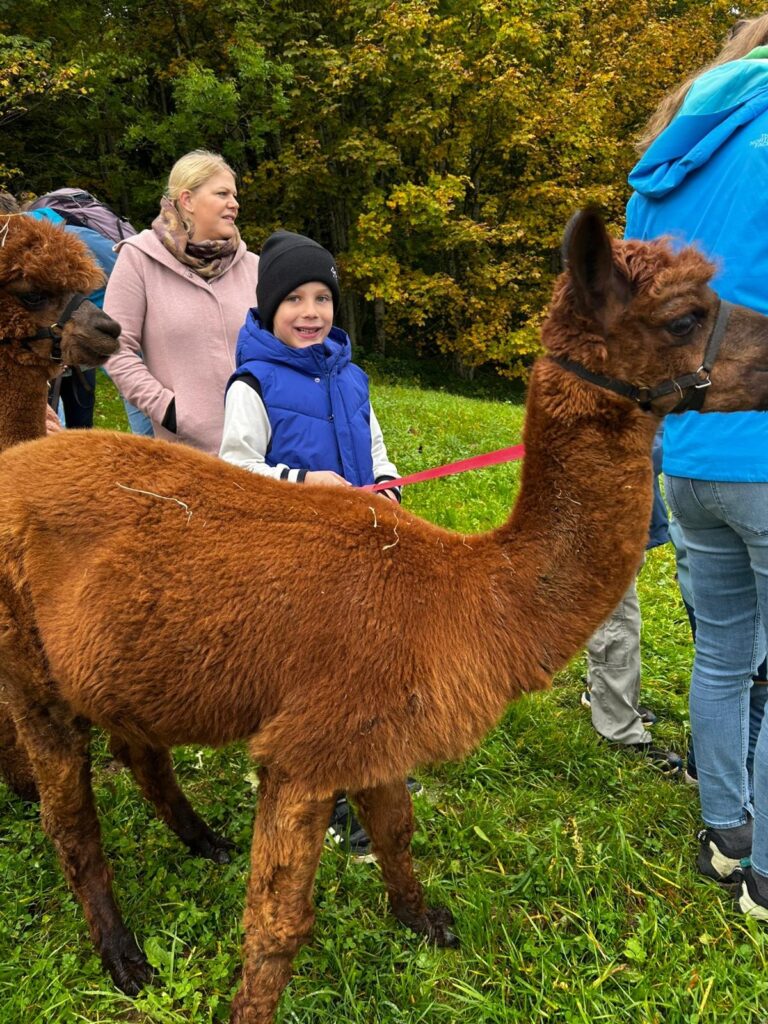 0c610053-386b-461d-9175-ca4264fc68ad_11zon