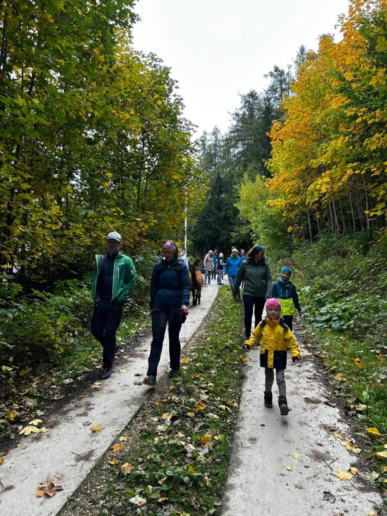 15dba042-81b4-4ae3-a948-73b9d96602d0_11zon