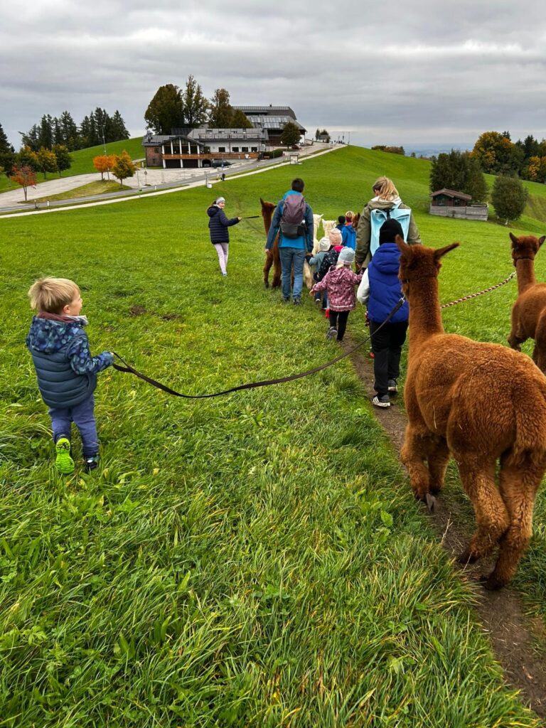 1dfff432-f523-430e-bcad-b61026618f99_11zon