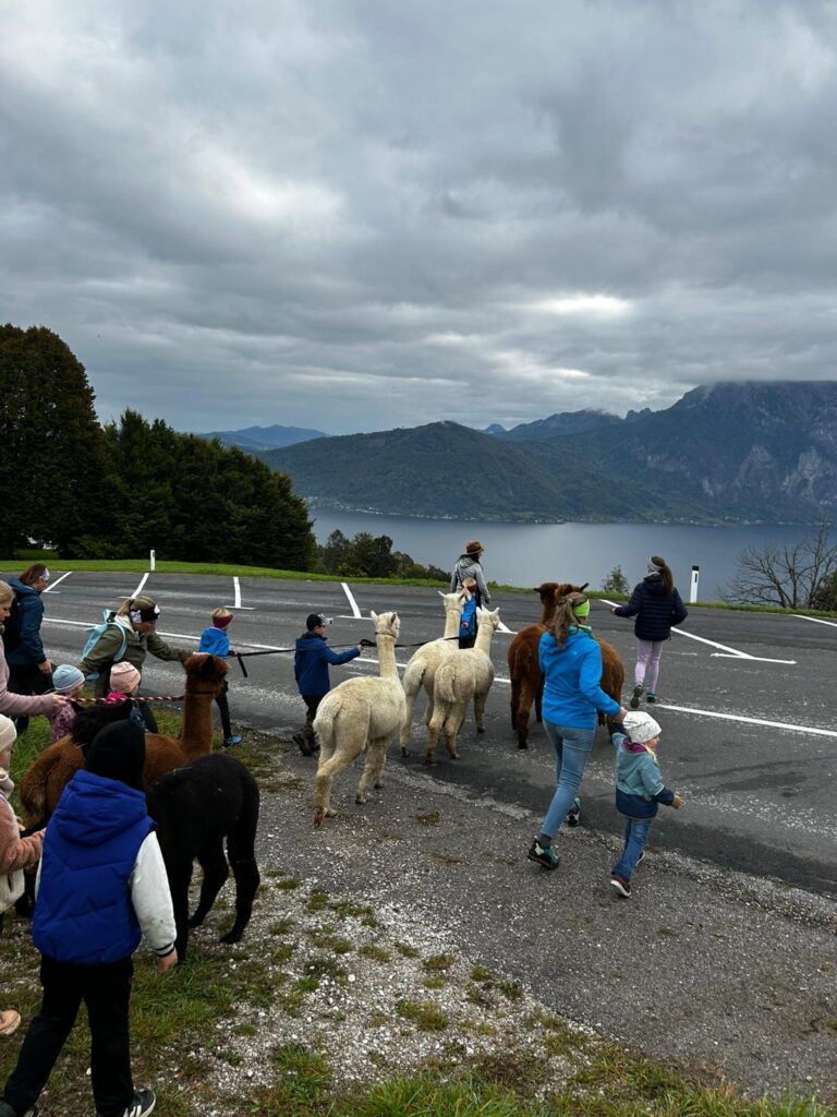 5d8f2f93-0f7c-48bb-b4c0-ce92127991e7_11zon