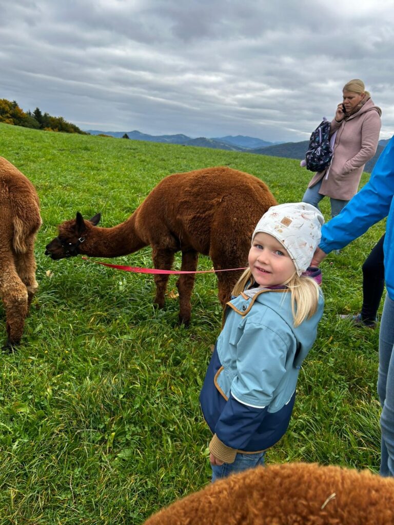 7bf09635-61cb-49a4-a838-ce3a614feaaf_11zon