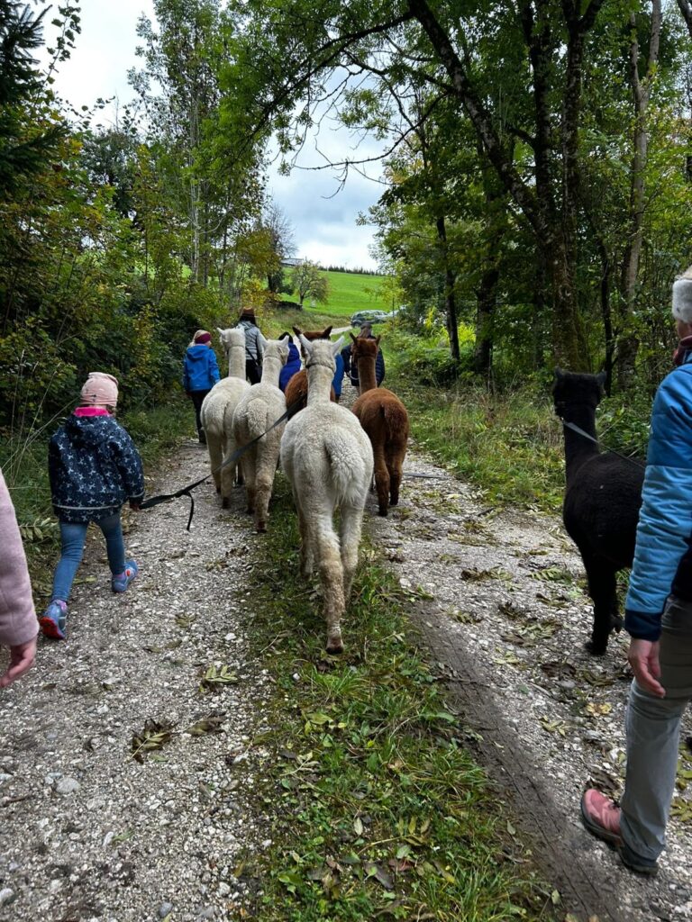 9a8f2503-73f4-4879-b1c3-1af7afcbd7d4_11zon