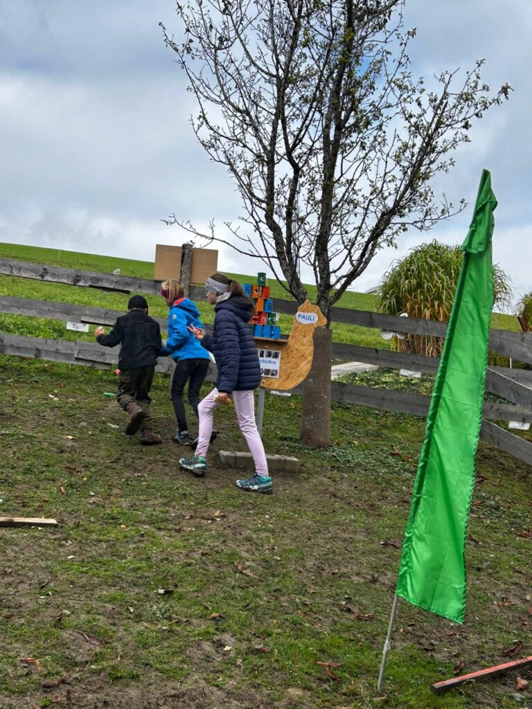 e96254d7-63d3-499c-b26e-5a8fbd64cacd_11zon